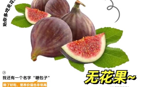 葵花胃康灵胶囊有毒吗能吃吗-葵花胃康灵胶囊专区_葵花胃康灵副作用专区_葵花胃康灵胶囊有毒网